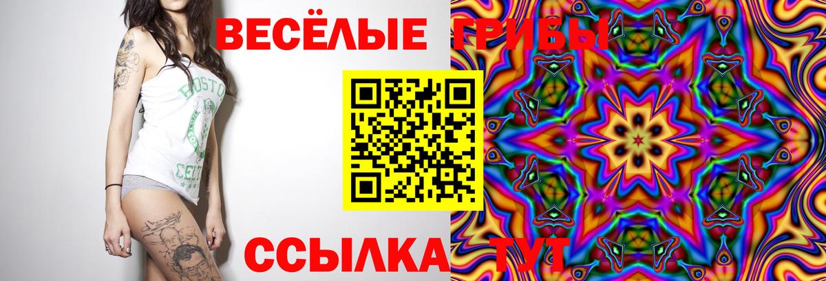 Галлюциногенные грибы MAGIC MUSHROOMS  Вход с VPN  Галлюциногенные грибы мухоморы  Хасавюрт 